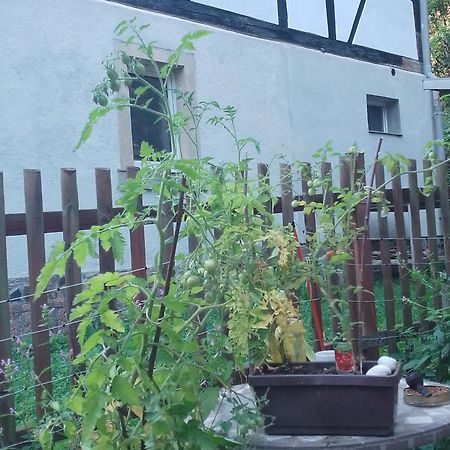Zum Stillen Himmelbett In Lichtenwalde Niederwiesa Exteriér fotografie
