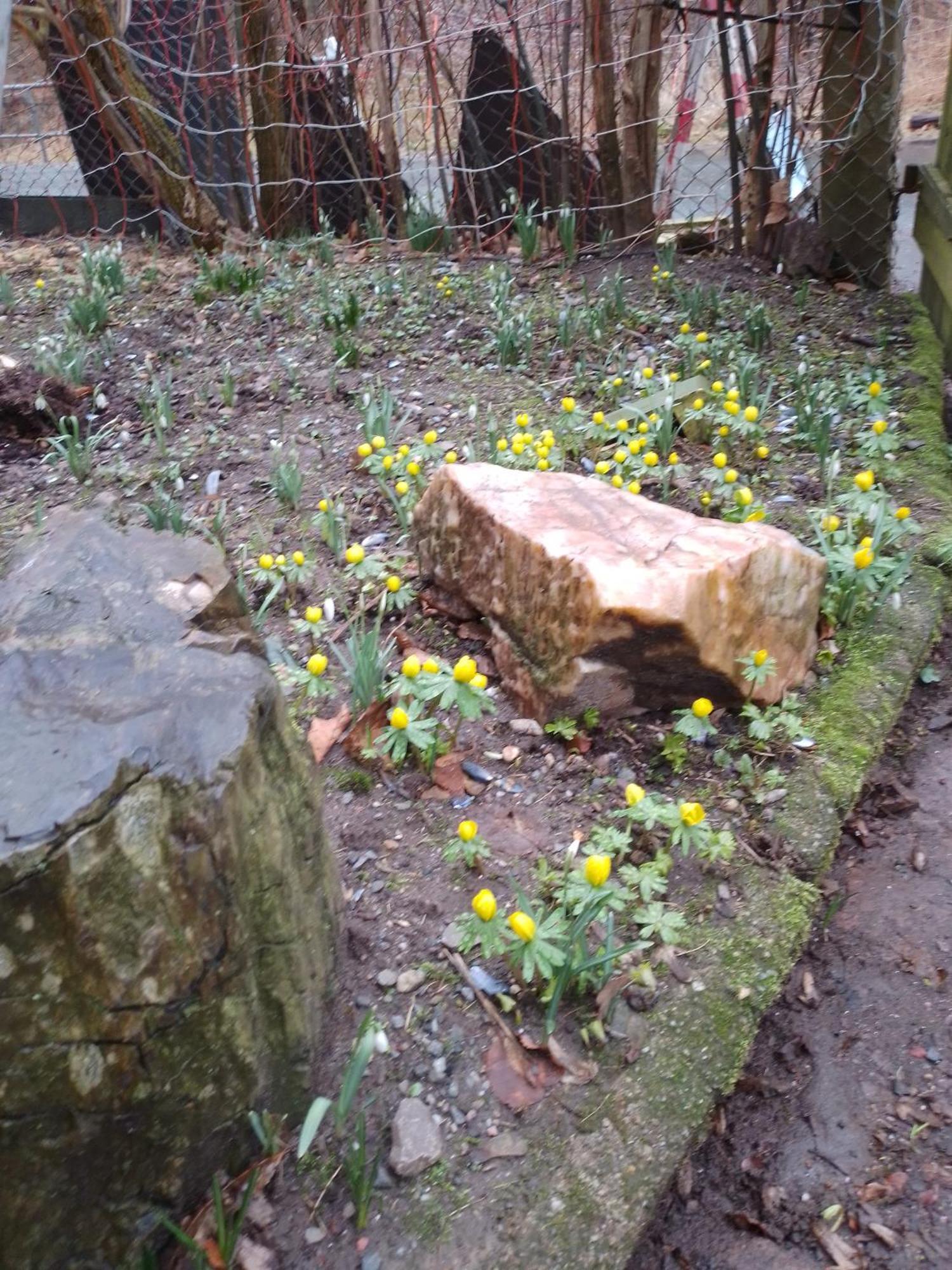 Zum Stillen Himmelbett In Lichtenwalde Niederwiesa Exteriér fotografie