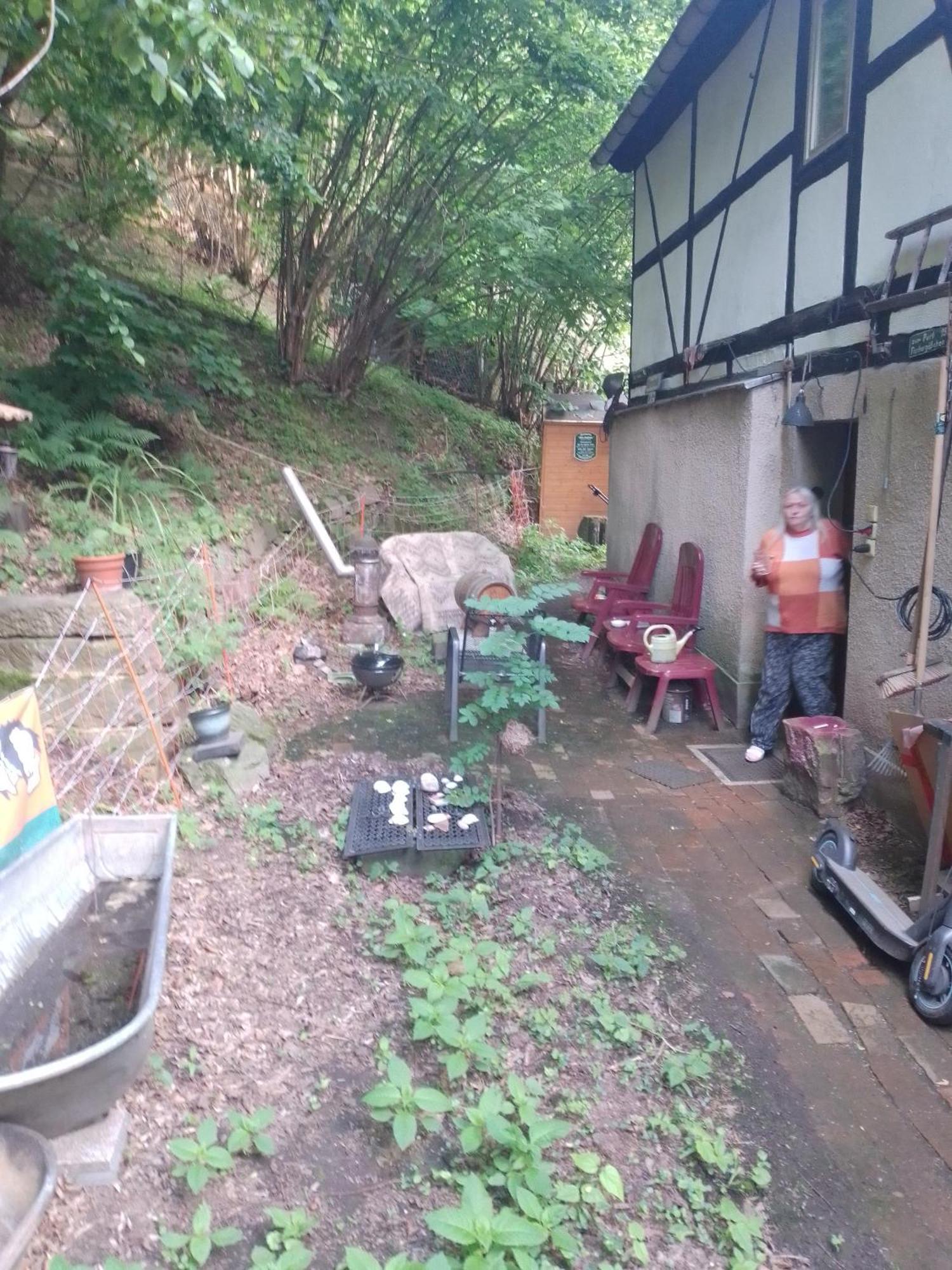 Zum Stillen Himmelbett In Lichtenwalde Niederwiesa Exteriér fotografie